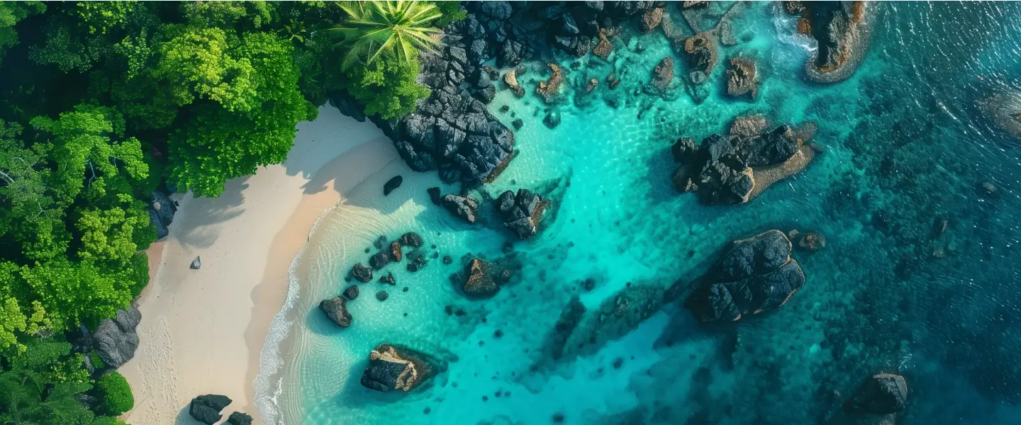 Aerial-View-of-a-Tropical-Beach.webp