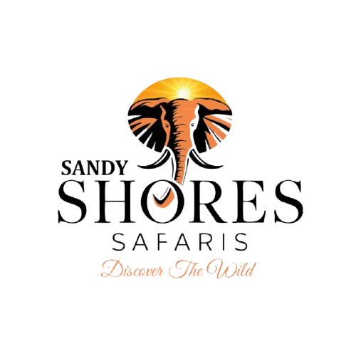 Sandy shores africa safaris