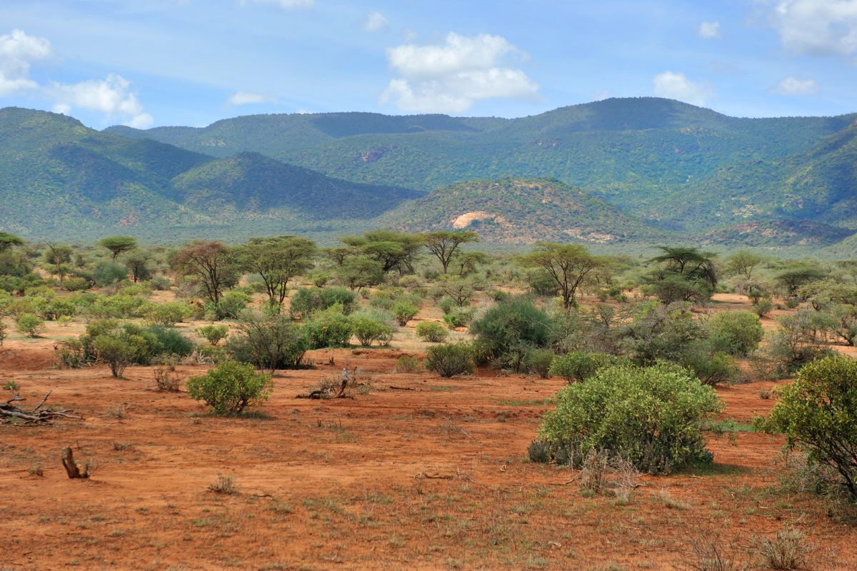 Best Luxury Tour Operator in Kenya- Laikipia Plateau