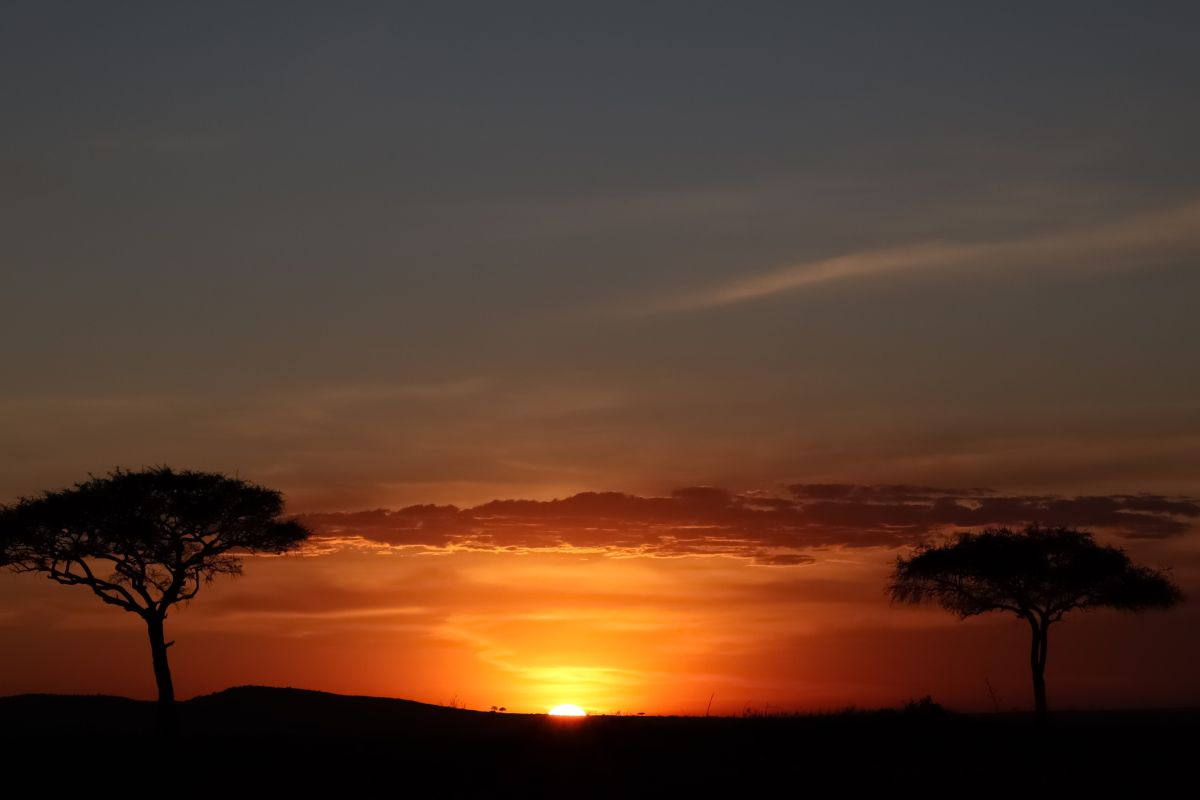 Stunning African Sunrise and Sunset Views