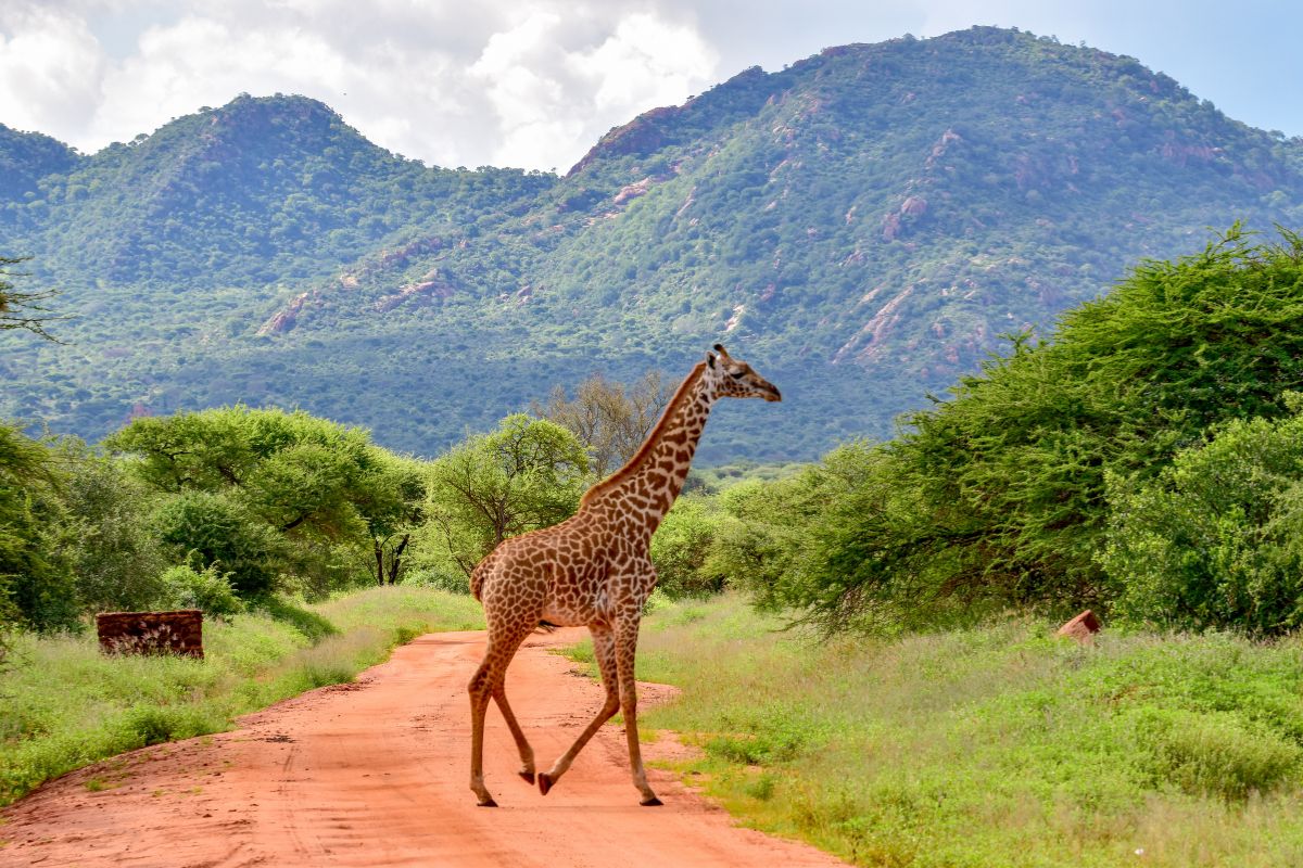 best safari destinations in Kenya