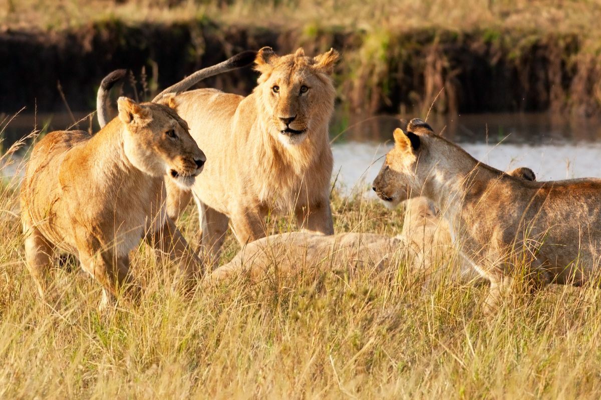 best safari destinations in Kenya