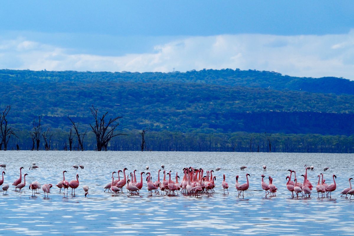 best safari destinations in Kenya