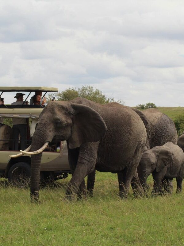 First-Time Safari Travelers in Kenya