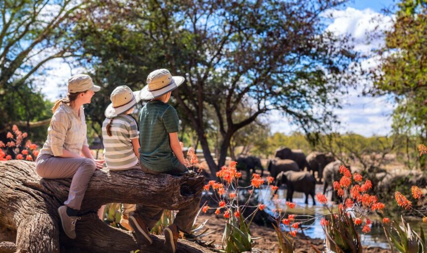 Family Safari in Kenya 2026: Best Destinations, Activities and Tips for Traveling with Children