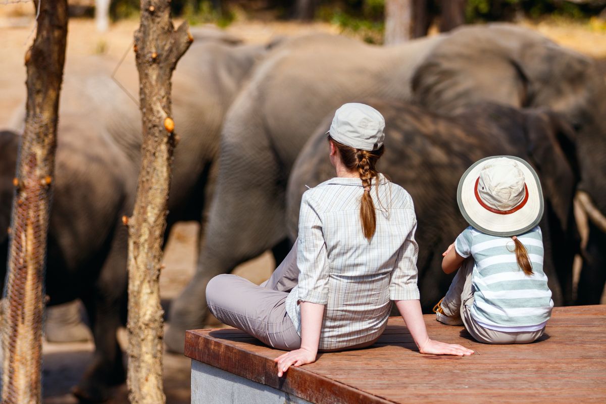 best family safari in Kenya