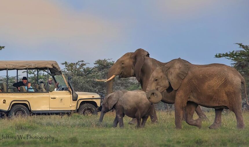 Kenya’s 10-Day Safari: Four Parks, Wildlife & Conservation Tour